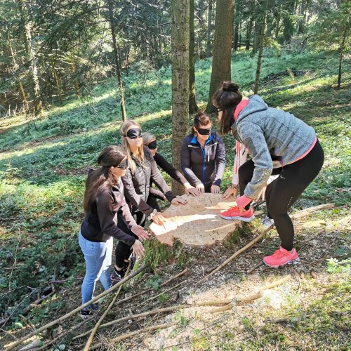 Outdoor-Teambuilding im Wald